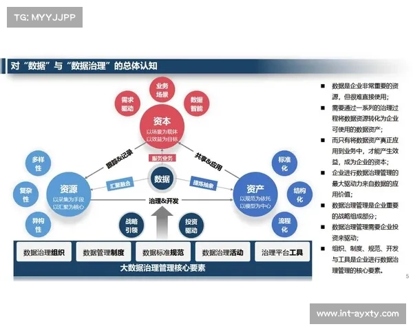 数据治理体系完善,提升数据资产价值 数据治理体系完善,提升数据资产价值